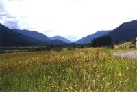 Western Southern Alps