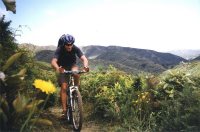Makara trails