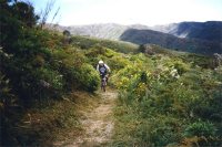 Makara trails