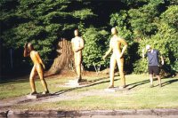 Whakarewarewa forest